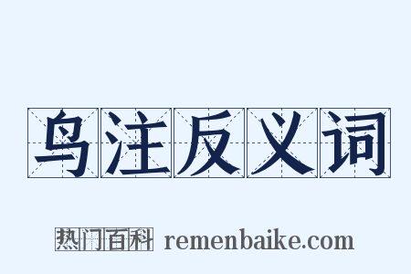 鸟注反义词是什么意思的图片